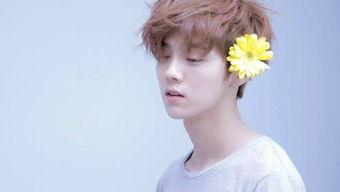 娱乐吃瓜社肖战  第3张